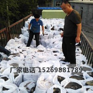 道路抗裂贴 道路白改黑